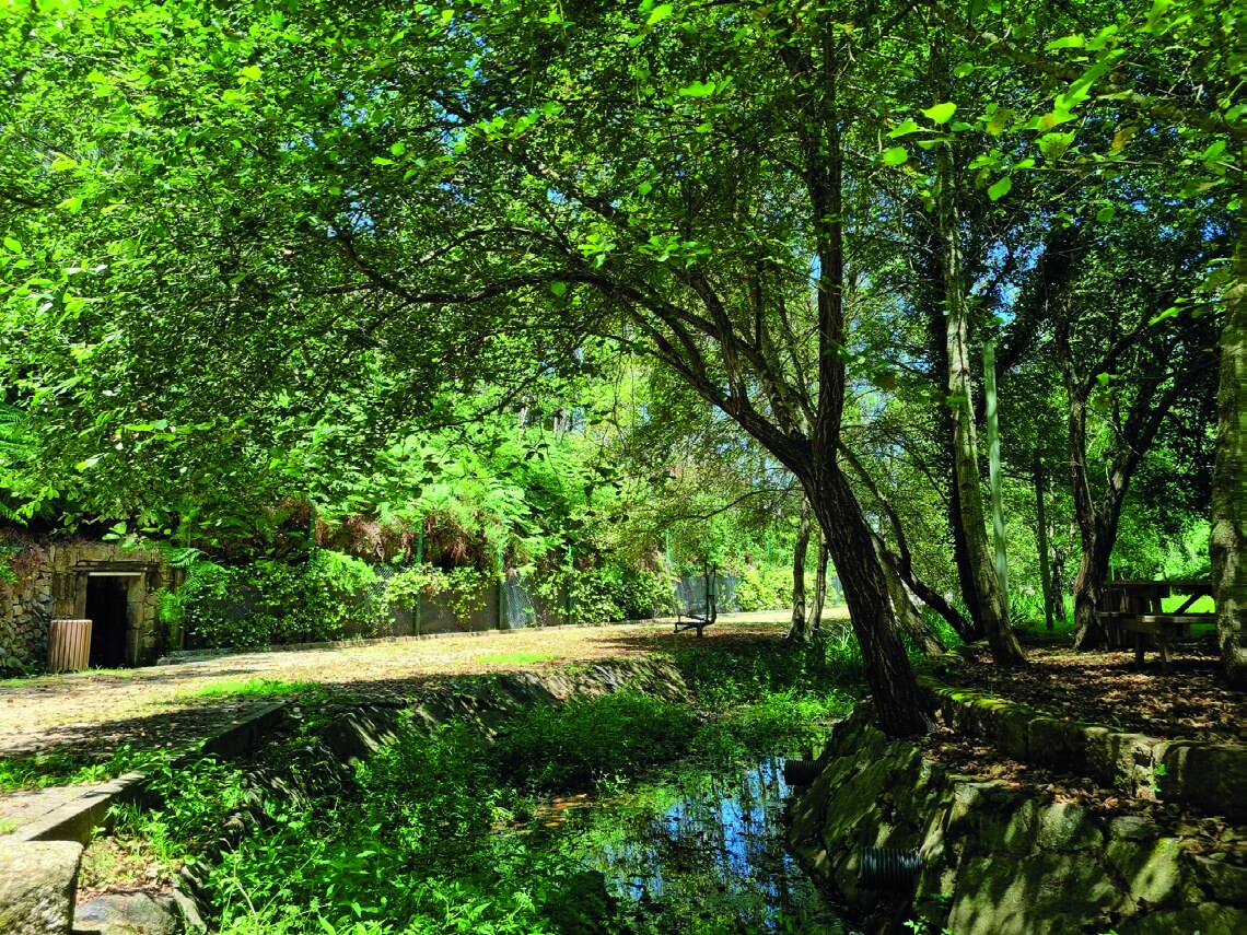 Zona verde em Canedo