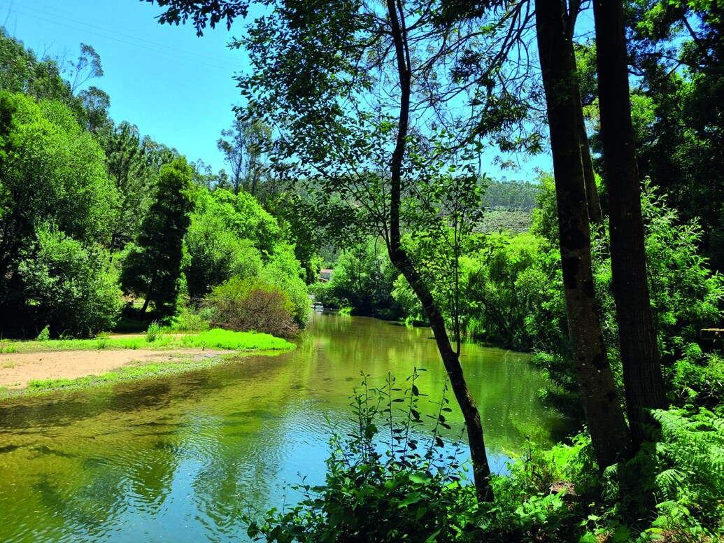 Parque natural
